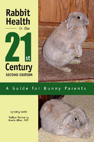 21st Century Rabbit Health