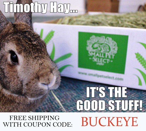 Timothy hay is healthy for rabbits